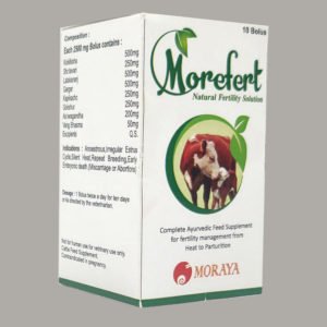 MOREFERT