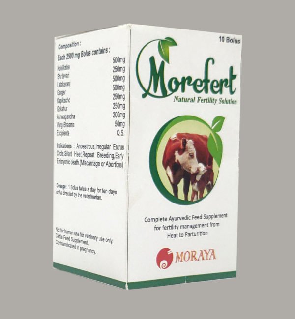 MOREFERT