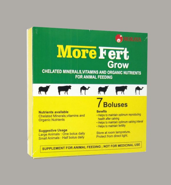 MOREFERT GROW BOLUS