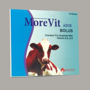 MOREVIT BOLUS