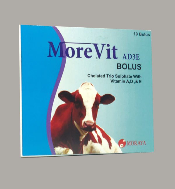 MOREVIT BOLUS
