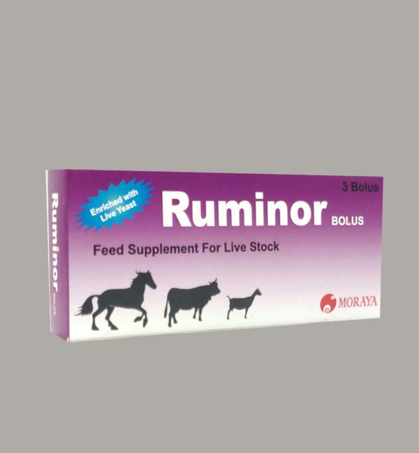 RUMINOR BOLUS