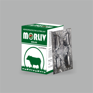 MORLIV BOLUS