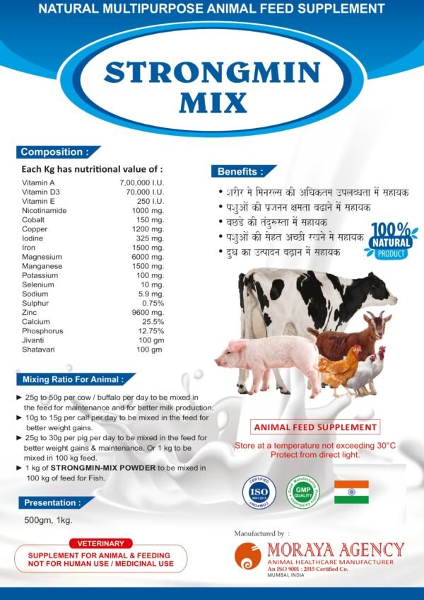 STRONGMIN MIX - Image 2