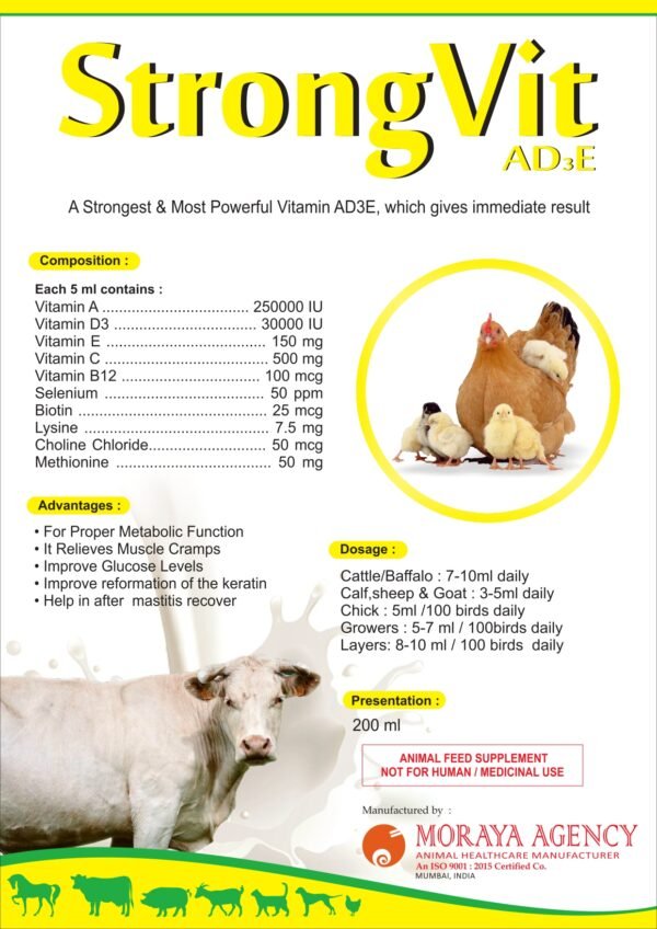 STRONGVIT AD3E - Image 2