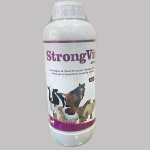STRONGVIT AD3E