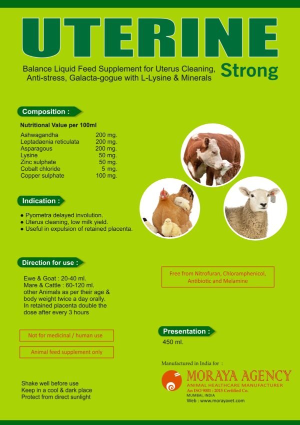 UTERINE STRONG - Image 2